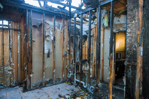 Professional Fire Damage Assessment technician working in Kearney Park, MS